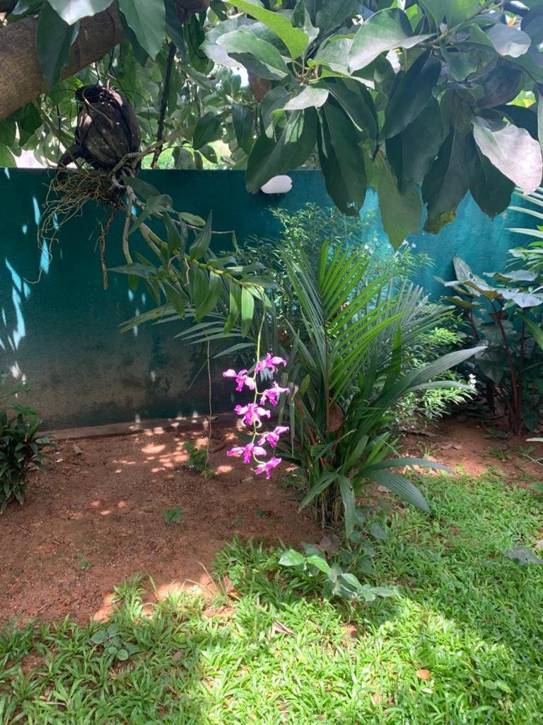 Villa Peace Heaven Galle Ngoại thất bức ảnh