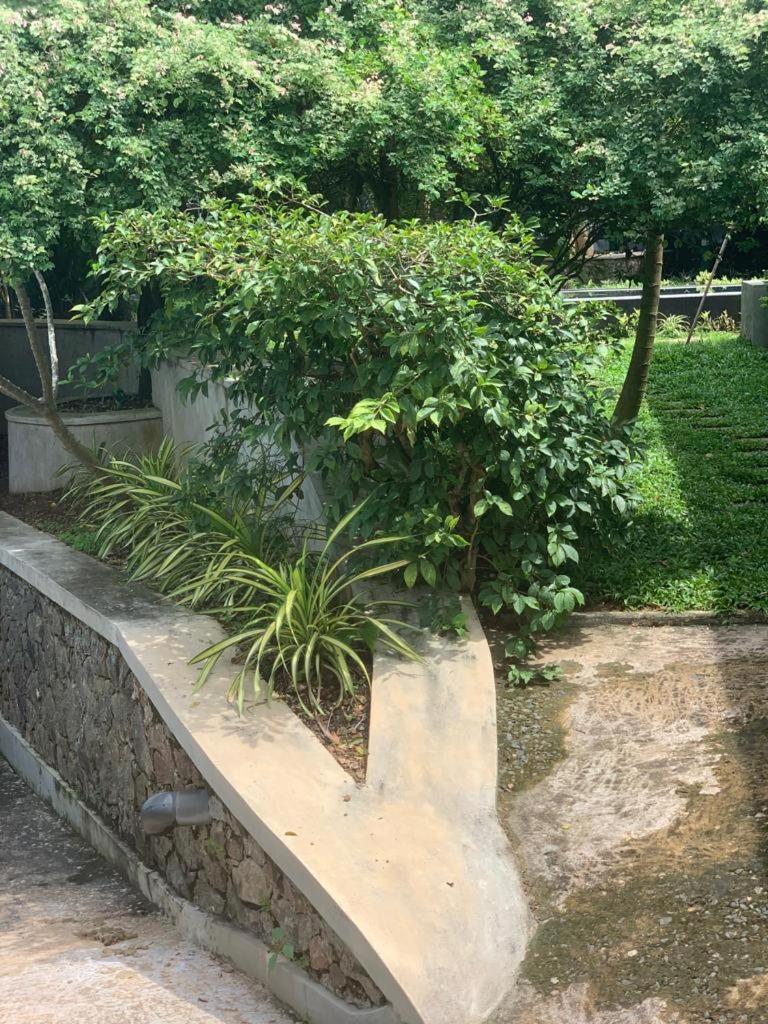 Villa Peace Heaven Galle Ngoại thất bức ảnh